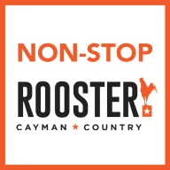 Logo di Rooster 101