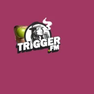 Logo Trigger.FM PONY (SD Stream)