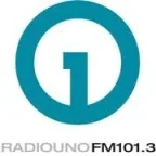 Logo di Radio Uno Fm 101.3